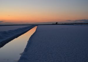 Scopri di più sull'articolo Prima volta a Margherita di Savoia??